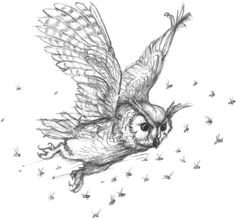 Иллюстрация к книге — Где-то там гиппопотам  [i_229.jpg]