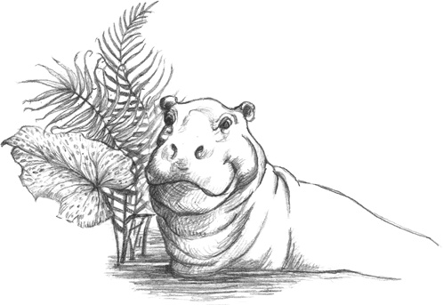 Иллюстрация к книге — Где-то там гиппопотам  [i_234.jpg]