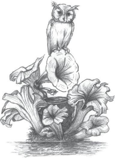 Иллюстрация к книге — Где-то там гиппопотам  [i_235.jpg]