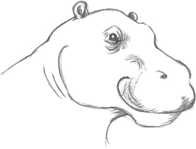 Иллюстрация к книге — Где-то там гиппопотам  [i_237.jpg]