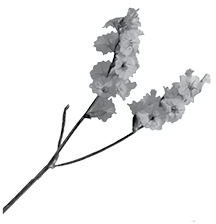 Иллюстрация к книге — Недостаточно худая. Дневник топ-модели [i_006.jpg]