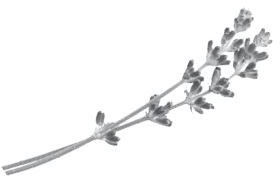 Иллюстрация к книге — Недостаточно худая. Дневник топ-модели [i_008.jpg]