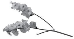 Иллюстрация к книге — Недостаточно худая. Дневник топ-модели [i_010.jpg]