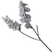 Иллюстрация к книге — Недостаточно худая. Дневник топ-модели [i_011.jpg]