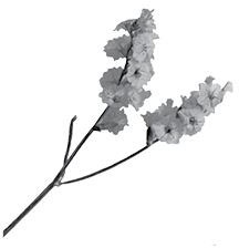 Иллюстрация к книге — Недостаточно худая. Дневник топ-модели [i_014.jpg]