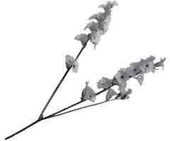 Иллюстрация к книге — Недостаточно худая. Дневник топ-модели [i_016.jpg]