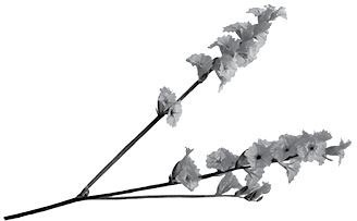 Иллюстрация к книге — Недостаточно худая. Дневник топ-модели [i_019.jpg]