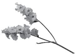 Иллюстрация к книге — Недостаточно худая. Дневник топ-модели [i_024.jpg]