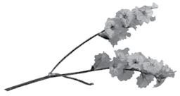 Иллюстрация к книге — Недостаточно худая. Дневник топ-модели [i_025.jpg]