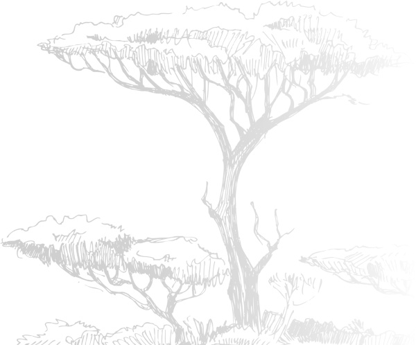 Иллюстрация к книге — Записки путешествующего ветеринара: нескучные истории о диких пациентах  [i_001.jpg]