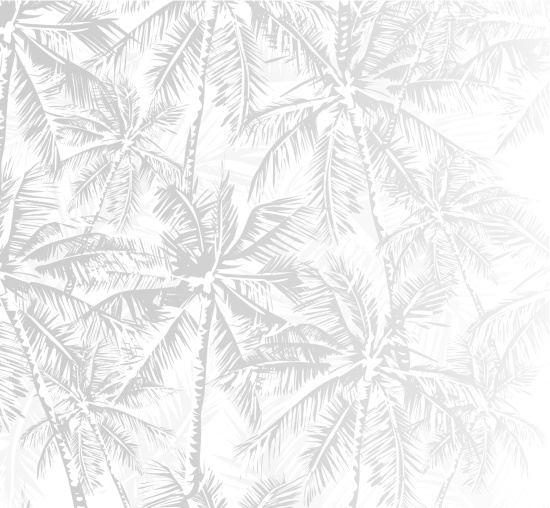 Иллюстрация к книге — Записки путешествующего ветеринара: нескучные истории о диких пациентах  [i_002.jpg]