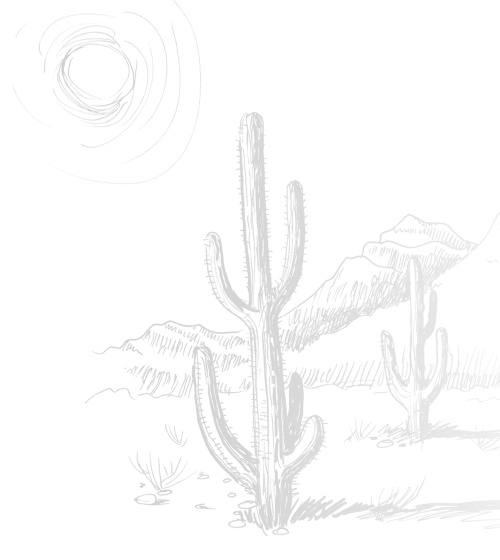 Иллюстрация к книге — Записки путешествующего ветеринара: нескучные истории о диких пациентах  [i_003.jpg]