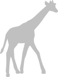 Иллюстрация к книге — Записки путешествующего ветеринара: нескучные истории о диких пациентах  [i_009.jpg]