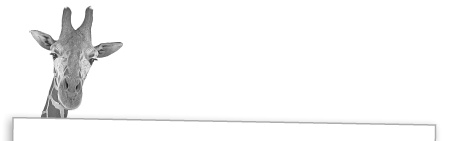 Иллюстрация к книге — Записки путешествующего ветеринара: нескучные истории о диких пациентах  [i_010.jpg]