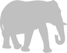 Иллюстрация к книге — Записки путешествующего ветеринара: нескучные истории о диких пациентах  [i_026.jpg]