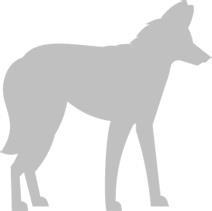 Иллюстрация к книге — Записки путешествующего ветеринара: нескучные истории о диких пациентах  [i_033.jpg]