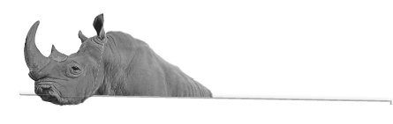 Иллюстрация к книге — Записки путешествующего ветеринара: нескучные истории о диких пациентах  [i_041.jpg]