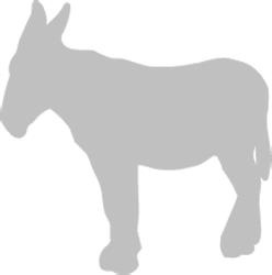 Иллюстрация к книге — Записки путешествующего ветеринара: нескучные истории о диких пациентах  [i_043.jpg]