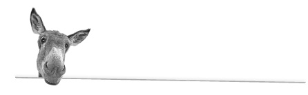 Иллюстрация к книге — Записки путешествующего ветеринара: нескучные истории о диких пациентах  [i_045.jpg]