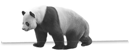 Иллюстрация к книге — Записки путешествующего ветеринара: нескучные истории о диких пациентах  [i_054.jpg]