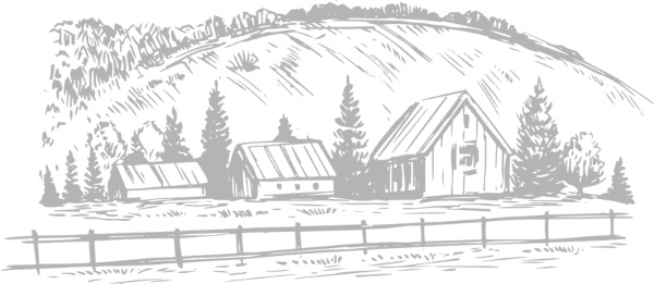 Иллюстрация к книге — Записки путешествующего ветеринара: нескучные истории о диких пациентах  [i_057.jpg]