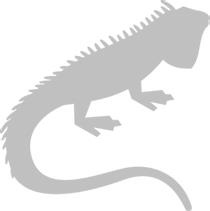 Иллюстрация к книге — Записки путешествующего ветеринара: нескучные истории о диких пациентах  [i_061.jpg]