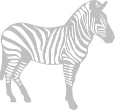 Иллюстрация к книге — Записки путешествующего ветеринара: нескучные истории о диких пациентах  [i_075.jpg]