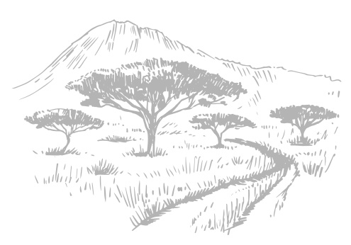 Иллюстрация к книге — Записки путешествующего ветеринара: нескучные истории о диких пациентах  [i_076.jpg]