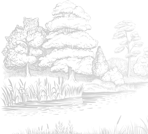 Иллюстрация к книге — Записки путешествующего ветеринара: нескучные истории о диких пациентах  [i_085.jpg]