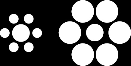 Иллюстрация к книге — Что знает рыба. Внутренний мир наших подводных собратьев [i_001.jpg]