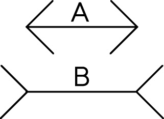 Иллюстрация к книге — Что знает рыба. Внутренний мир наших подводных собратьев [i_002.jpg]