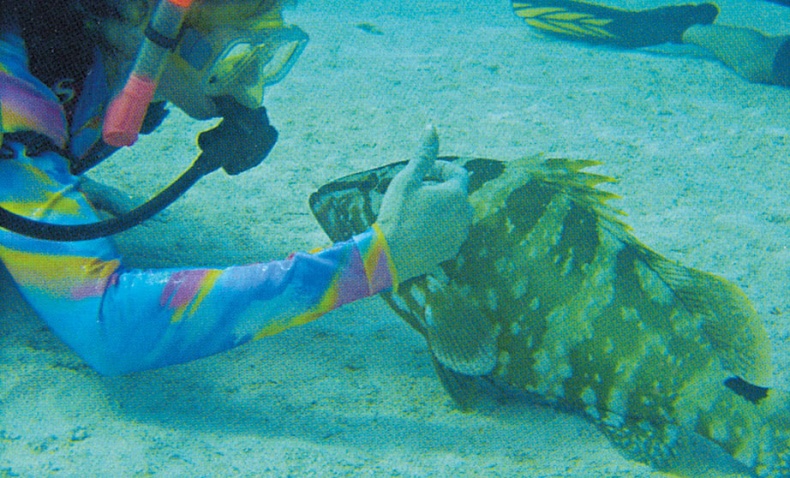 Иллюстрация к книге — Что знает рыба. Внутренний мир наших подводных собратьев [i_020.jpg]