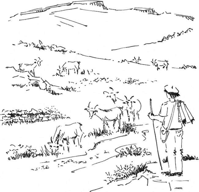 Иллюстрация к книге — Хозяйка книжной лавки на площади Трав  [i_008.jpg]