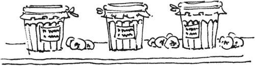 Иллюстрация к книге — Хозяйка книжной лавки на площади Трав  [i_011.jpg]