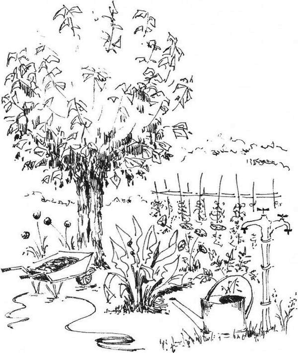 Иллюстрация к книге — Хозяйка книжной лавки на площади Трав  [i_020.jpg]