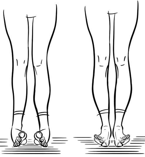 Иллюстрация к книге — Здоровье через стопы  [i_004.jpg]