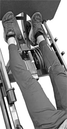 Иллюстрация к книге — Здоровье через стопы  [i_006.jpg]