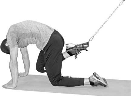 Иллюстрация к книге — Здоровье через стопы  [i_014.jpg]