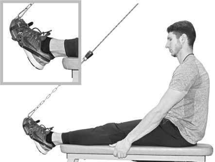 Иллюстрация к книге — Здоровье через стопы  [i_023.jpg]