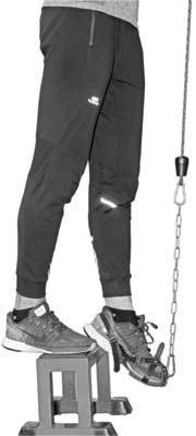 Иллюстрация к книге — Здоровье через стопы  [i_027.jpg]