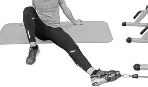 Иллюстрация к книге — Здоровье через стопы  [i_028.jpg]