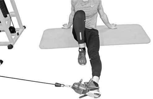 Иллюстрация к книге — Здоровье через стопы  [i_030.jpg]