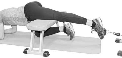 Иллюстрация к книге — Здоровье через стопы  [i_032.jpg]