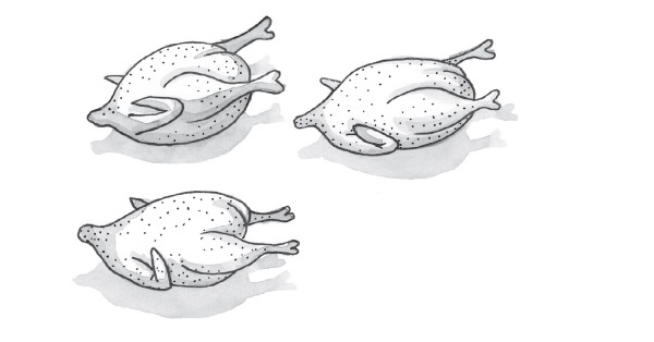 Иллюстрация к книге — Печенье счастья  [i_026.jpg]