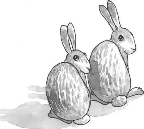 Иллюстрация к книге — Печенье счастья  [i_037.jpg]