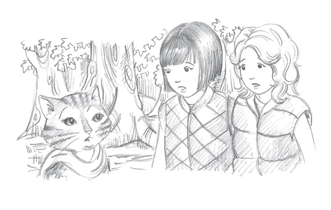 Иллюстрация к книге — Лисичка Тыковка, или Лунный камень [i_010.jpg]