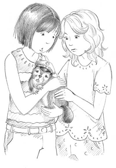 Иллюстрация к книге — Бобрёнок Фиби, или Сбежавший сапфир [block_00112752.jpg]