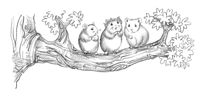 Иллюстрация к книге — Медвежонок Ханна, или Мёд Удачи [i_033.jpg]