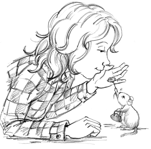 Иллюстрация к книге — Соня Фрейя, или Ягоды-смешинки [i_010.jpg]