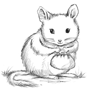 Иллюстрация к книге — Соня Фрейя, или Ягоды-смешинки [i_012.jpg]